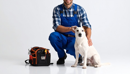 Pet Sitting service